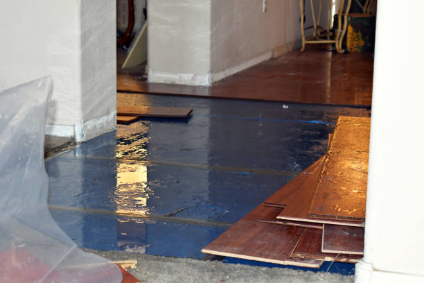 Professional Water Extraction technician working in Tebbetts, MO